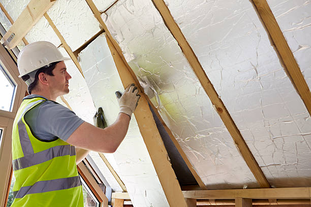 Best Insulation for Existing Homes  in USA